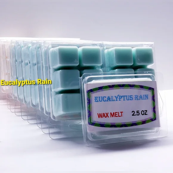 EUCALYPTUS RAIN -Bath & Body Works Candle Wax Melts- $8 per pack - Picture 1 of 9